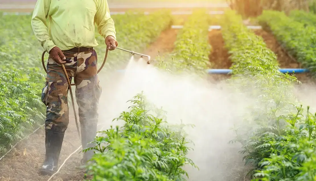 Roundup updates and legislation proposals for March 2025.