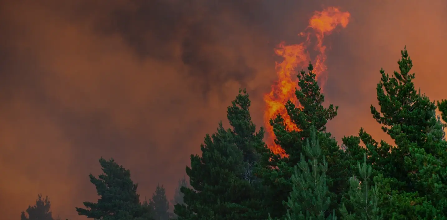 Learn more about the Eaton Fire lawsuit.