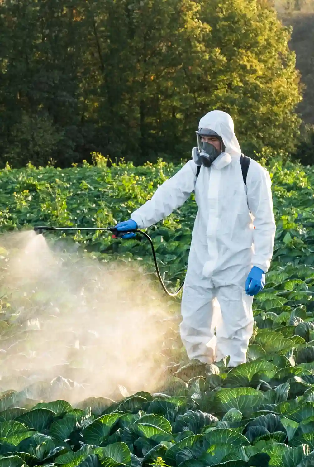 Companies involved in the Paraquat lawsuits.