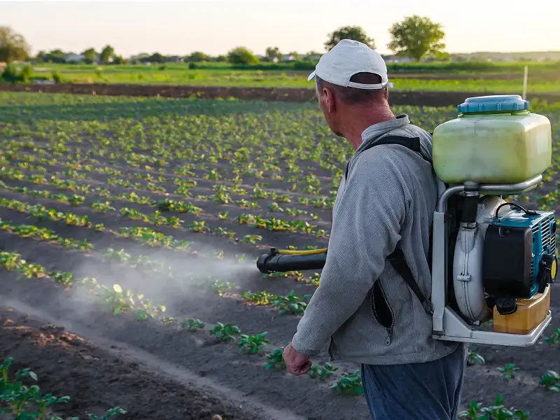 Learn more about the Roundup lawsuit and how glyphosate chemical exposure allegedly causes cancer.